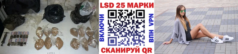 закладки  Березники  маркетплейс формула  LSD-25 экстази ecstasy 