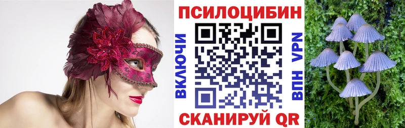 Галлюциногенные грибы MAGIC MUSHROOMS  мориарти клад  Березники 